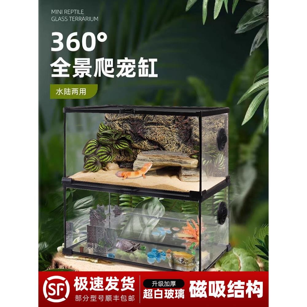 Bg鬓角蜥蜴壁虎爬行动物宠物繁殖箱生态雨林景观宠物蛇角蛙蜘蛛玻