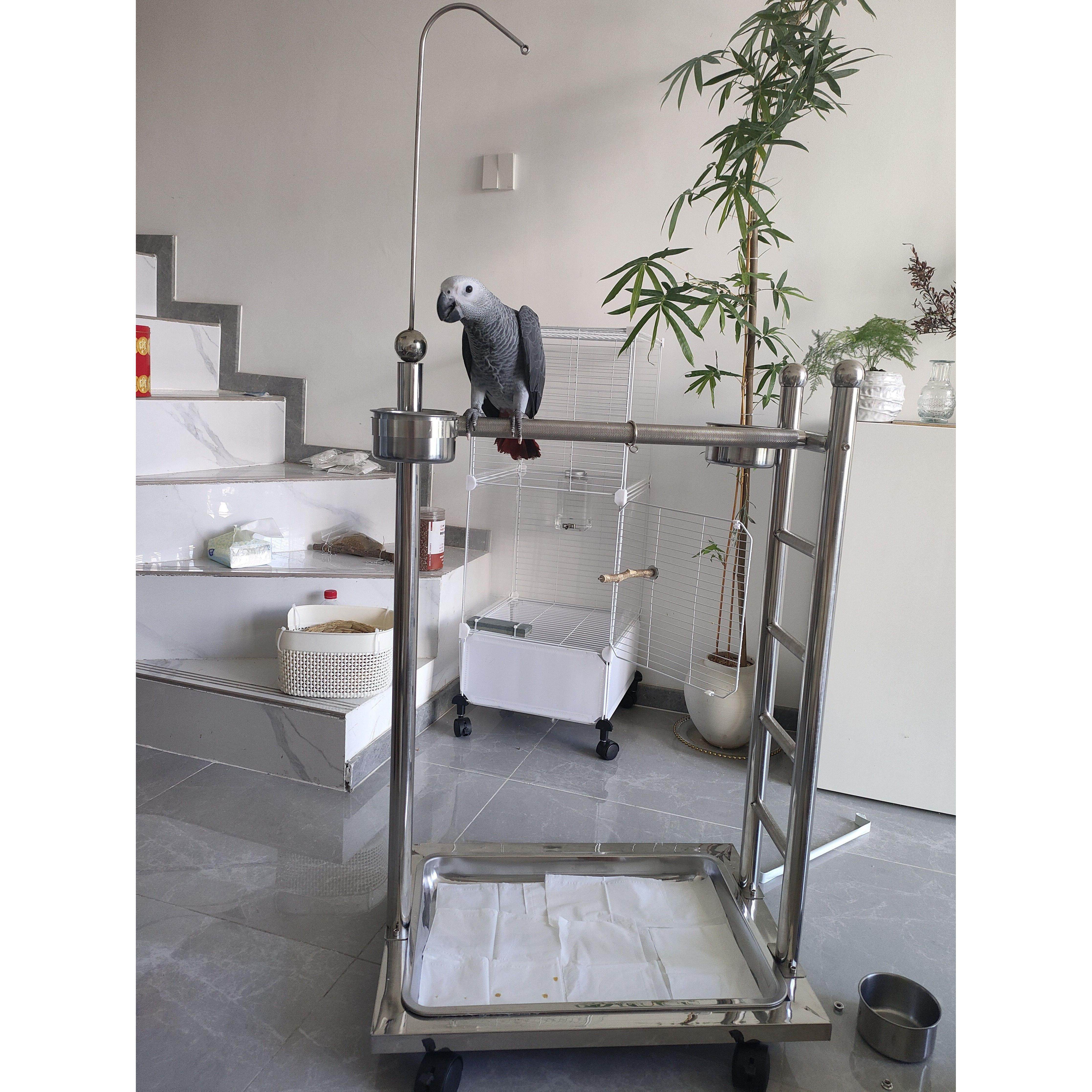 鹦鹉鸟宠物鸟架不锈钢不锈钢梯架大型鸟架养殖桌养殖架