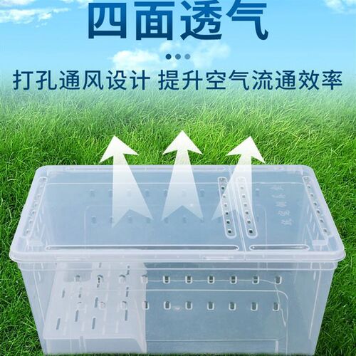 爬宠饲养箱仓鼠笼子透明透气金丝熊刺猬密袋鼬塑料笼子饲养宠物箱