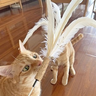 一体成型巨长逗猫棒木天蓼铃铛山鸡毛鸵鸟毛长杆木柄解闷玩具