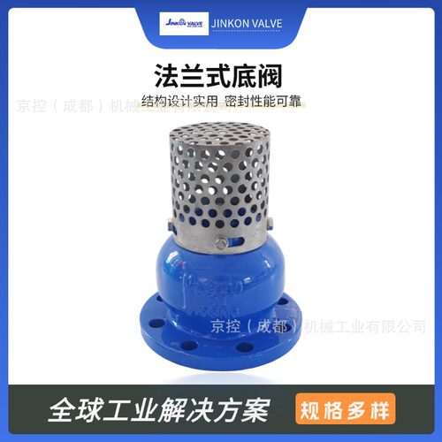 H42X-16Q法兰底阀水泵吸水底阀球墨铸铁带滤网单向止回阀DN50-DN3