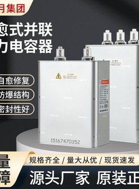 上海/指月集团BSMJ0.4/0.415/0.45-18-3/1 自愈式并联电力电容器