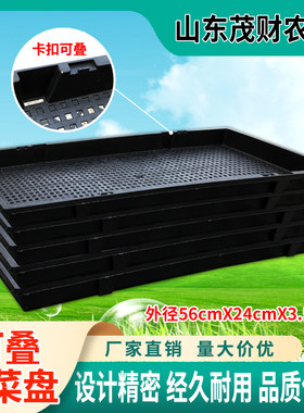 芽苗菜种植盘 加厚育苗盘豌豆苗小麦草育苗托盘58x25x3.5 300克