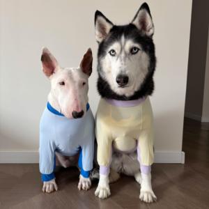 洞洞凉感护肘服透气宠物中大型犬护膝套大狗保护袖金毛牛头梗边境