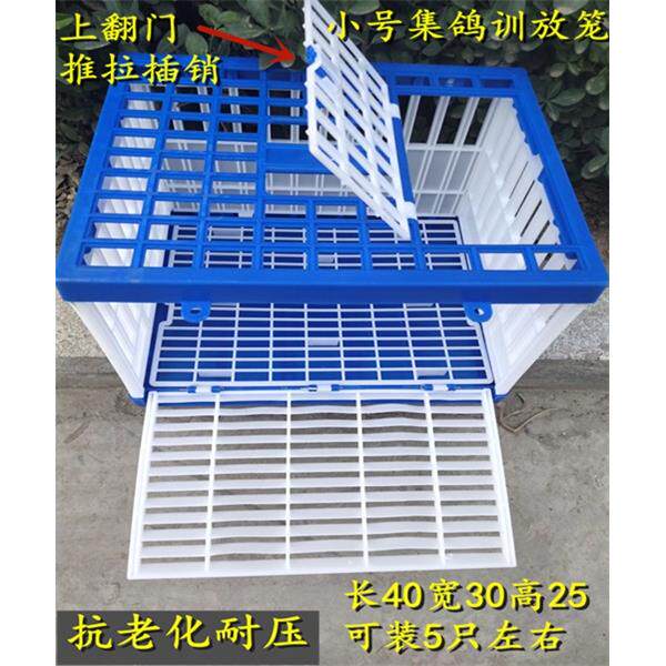 鸽具放飞笼 训放笼 鸽用品用具 信鸽塑料笼 折叠笼 报道笼 鸽子窝