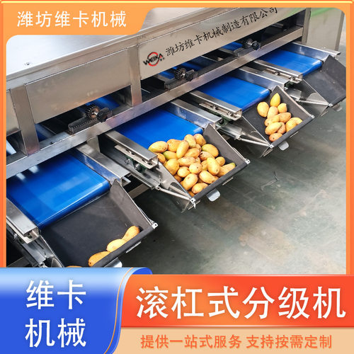 定制柠檬大小选果机 滚杠式直径分拣机  荔枝分级机 产量高