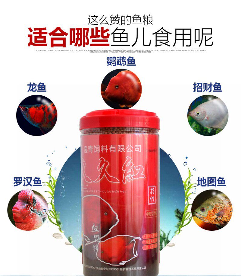 包邮 逸青久久红血鹦鹉增红增艳鱼饲料 鱼食鱼粮 上浮颗粒不浑水