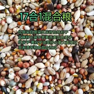 魔术鸽五谷杂粮竹鸡食物仓鼠斑鸠粮鸽粮山鸡鹧鸪粮观赏鸡饲料鸟食