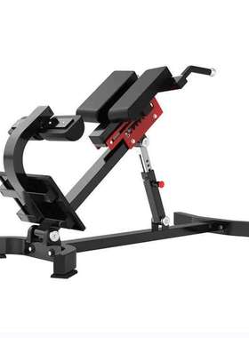 罗马椅挺身训练器Entra?neur de pompes sur chaise romaine