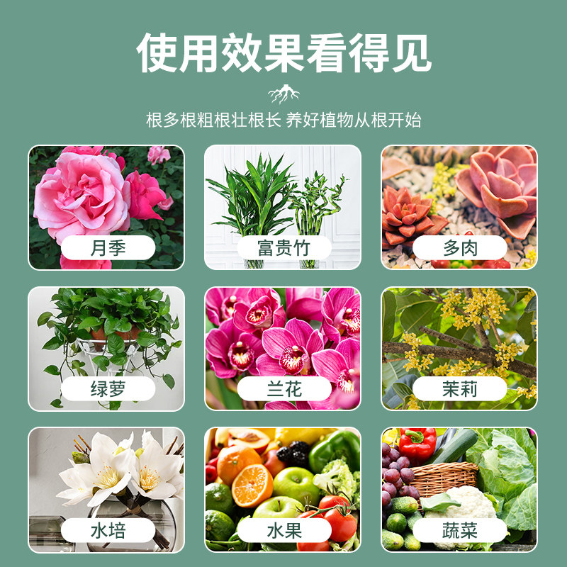 强力生根剂大小果树木移栽种植快速生根复活营养液速效发根壮苗剂,鲜花速递/花卉仿真/绿植园艺,家庭园艺肥料,淘宝优惠券,粉丝福利购,淘宝优惠卷