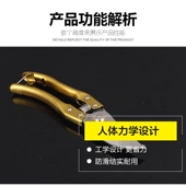 园林园艺剪刀园丁剪花枝修剪树枝剪刀果树剪修花剪刀多肉盆栽修枝