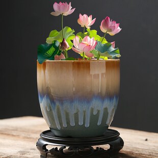 铜钱草水培花盆无孔器皿荷花缸专用陶瓷水仙花水养一叶莲碗莲桌面