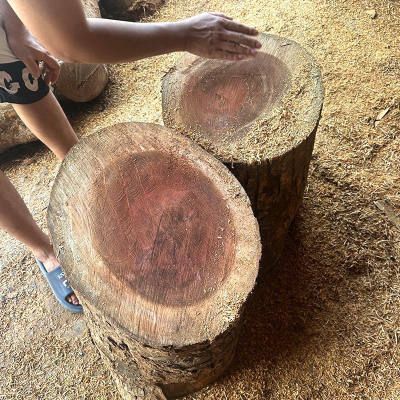 香樟木茶盘原木茶海整块民宿茶具自然风干泡茶盘客厅摆件小号香味