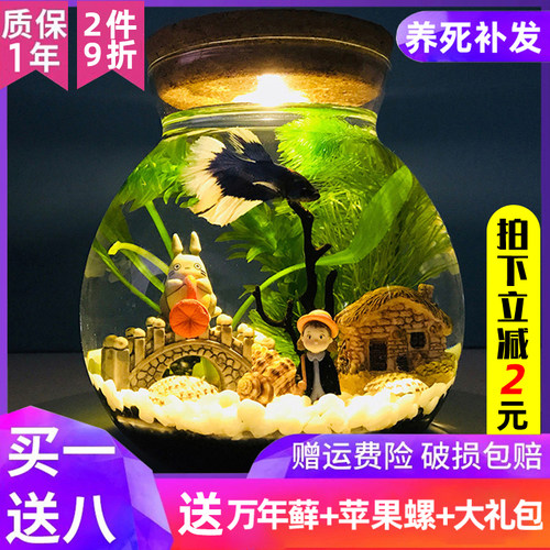 生态瓶微景观水族箱造景斗鱼缸创意缸办公桌面书桌客厅观赏玻璃缸