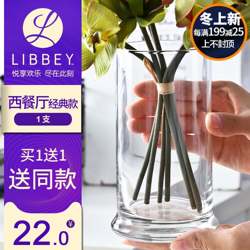 【买1送1】玻璃干花瓶摆件透明插花装饰摆设欧式小绿萝水培容器