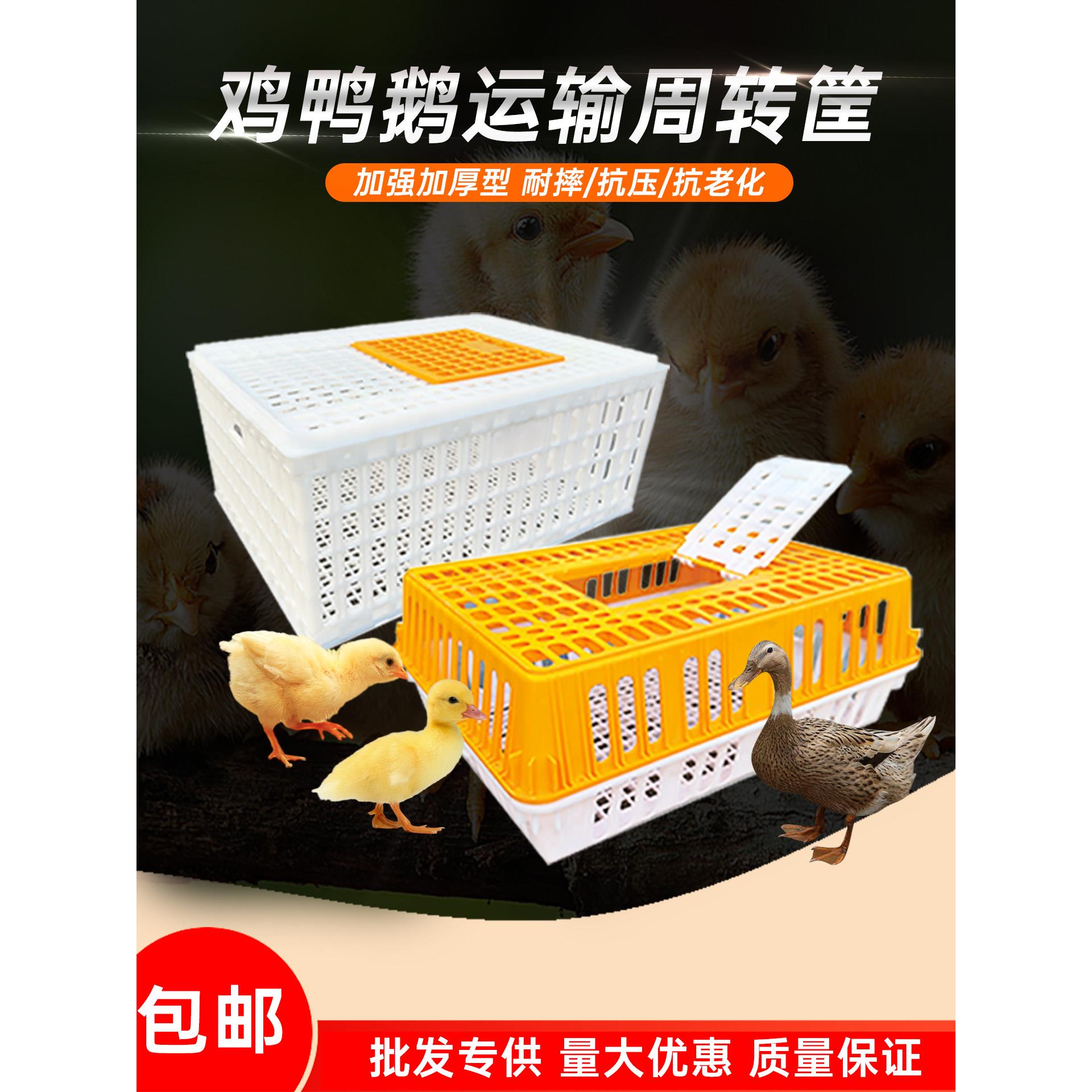 养殖场家用塑料运输笼鸡筐鸡用周转箱成鸡鸭鹅鸽子兔养殖笼塑料筐