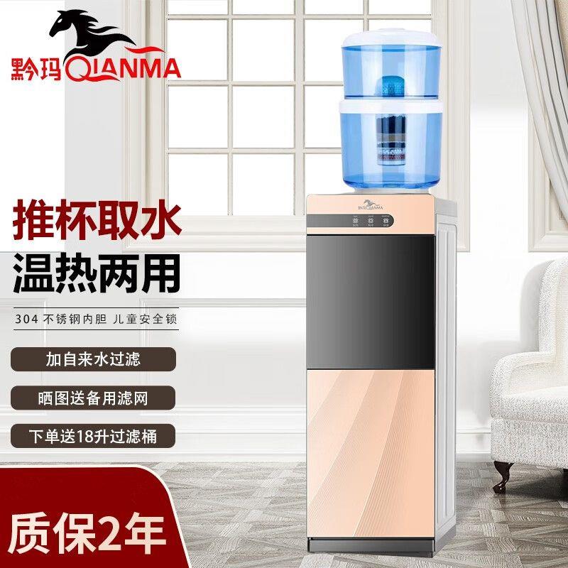 饮水机家用过滤桶套装加自来水过滤双开门立式饮水机带过滤桶