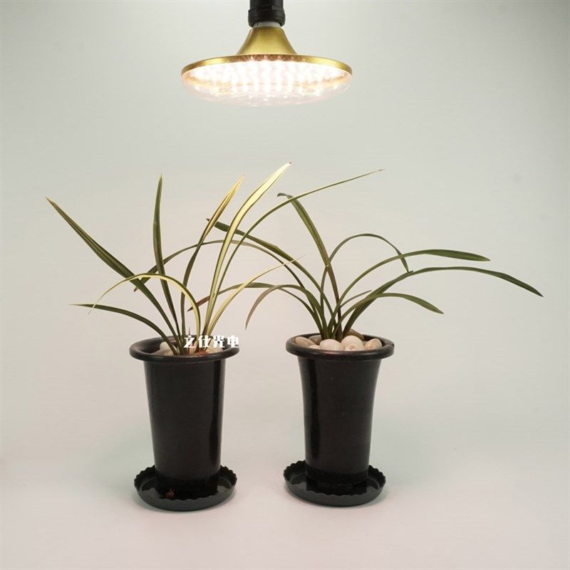 兰花艺草兰草植物补光灯多肉全光谱绿植花卉专用生长室内大棚,家装灯饰光源,植物生长灯,淘宝优惠券,粉丝福利购,淘宝优惠卷