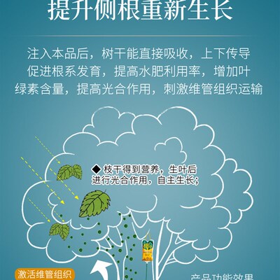 树木浓缩营养液吊针液通用型吊针袋树苗移栽嫁促成活大树激活原液