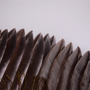 手工羽毛扇鹅毛扇子孔明扇传统工艺制作结实耐用宝宝扇工艺扇羽扇