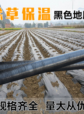 黑色保湿除草保温膜草莓种植农用膜果树双色银黑地膜农用白色保温