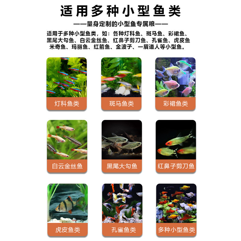 鱼食虎皮鱼专用饲料四间鱼小颗粒接吻鱼孔雀鱼淡水小型观赏鱼鱼粮,宠物/宠物食品及用品,观赏鱼饲料,淘宝优惠券,粉丝福利购,淘宝优惠卷