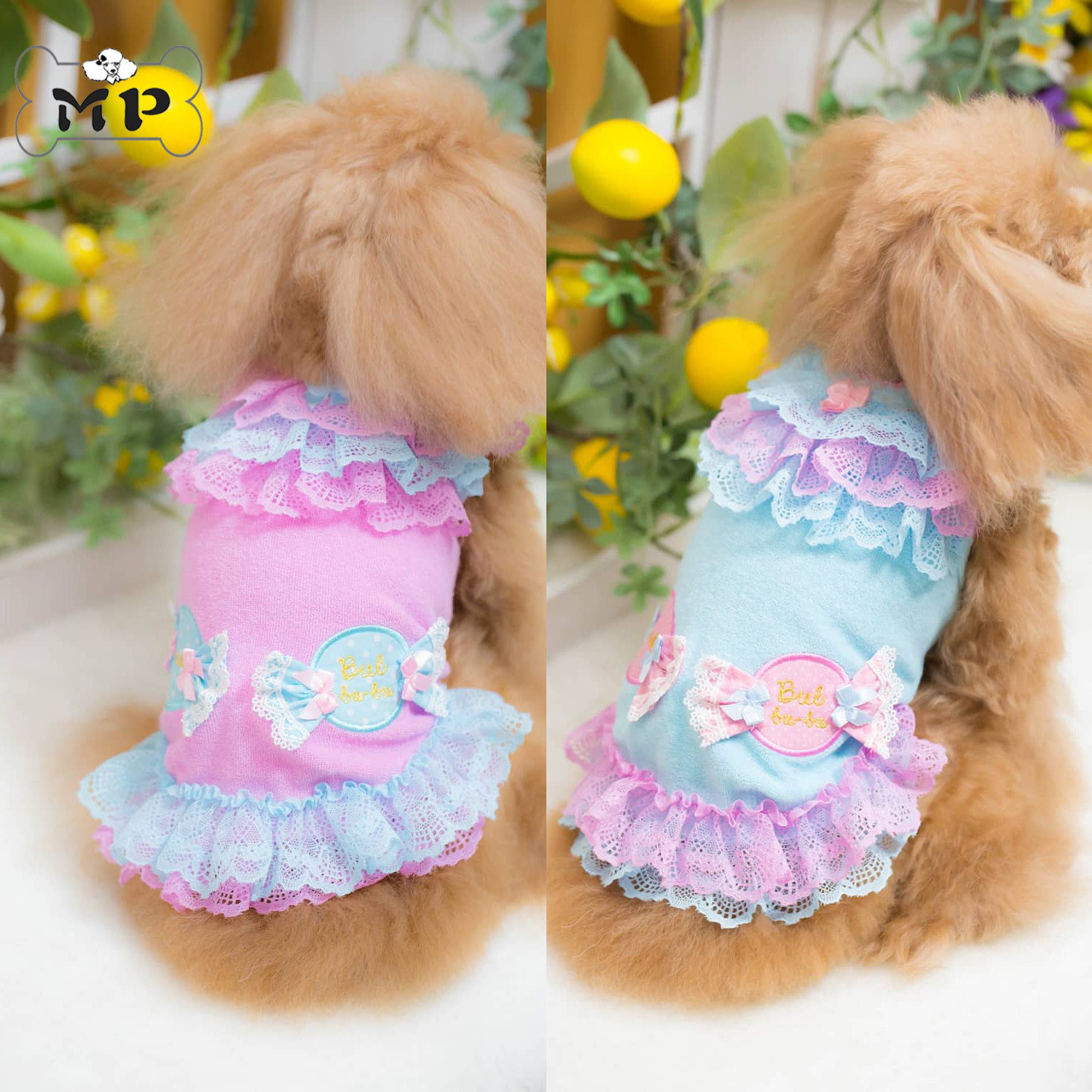『Memory Pet』日本代购宠物猫狗春夏甜美糖果蕾丝荷叶花边T恤