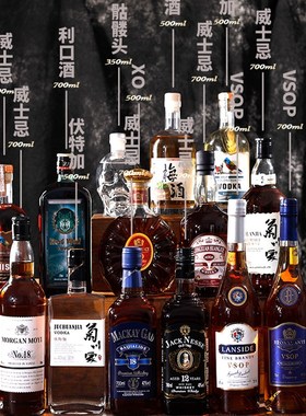 洋酒瓶装饰酒道具假酒样板间摆件真酒威士忌伏特加酒柜红酒摆设酒