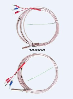 端面热电阻汽轮机用WZCM/WZPM-201/A级B级PT100WZP035T温度感测器