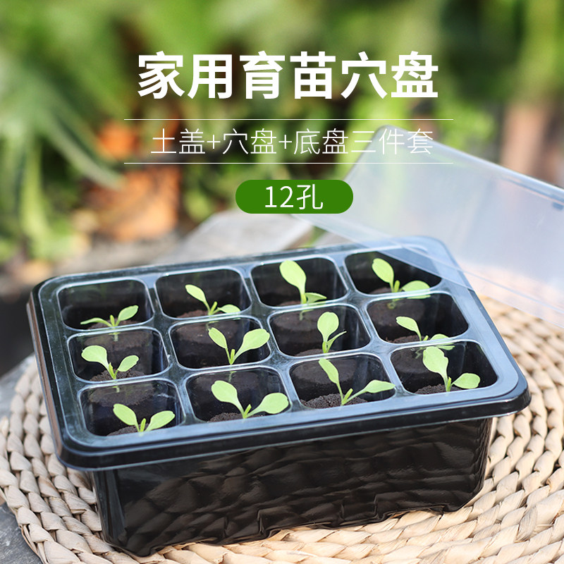 无土栽培育苗种植块塑料育苗盒水培基质植物播种盒扦插神器保温箱,鲜花速递/花卉仿真/绿植园艺,育苗盘/营养钵,淘宝优惠券,粉丝福利购,淘宝优惠卷