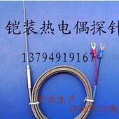 探头测温线3.0 K型热流道感温线 热电偶 2米铠装 100mm 探针式