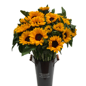 向日葵10支鲜花云南直发直批基地昆明斗南助农花卉真花水养 家用