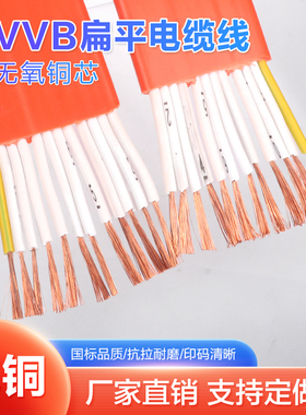 随行扁电缆TVVB12 14 16 20 24芯0.75 1电梯行车天车伸缩门扁电线