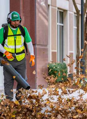 富世华进口专业汽油大功率森林吹雪机清扫 背负式风机 570BTS