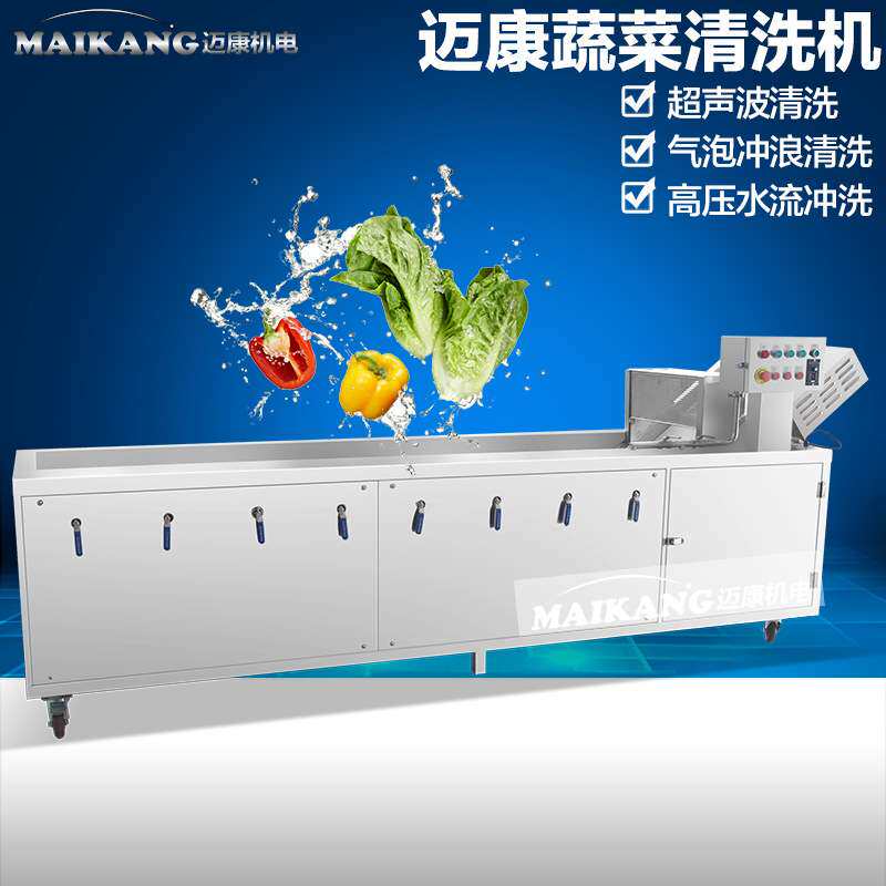 蔓越莓人心果清洗机 气泡冲浪水果清洗机 水果清洗流水线