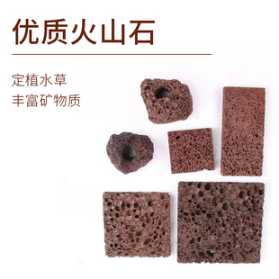 火山石片水草定植块环杯打孔火山岩薄片不锈钢网片鱼缸造景素材