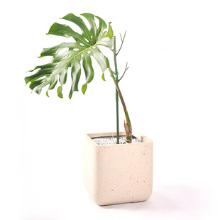 树枝防倒伏支撑杆植物支架攀爬架阳台园艺支架支撑杆装饰爬藤杆