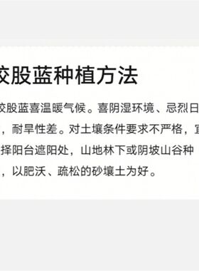 七叶绞股蓝盆栽苗绞股蓝龙须茶苗带盆土药用甘甜味绞股蓝盆栽苗