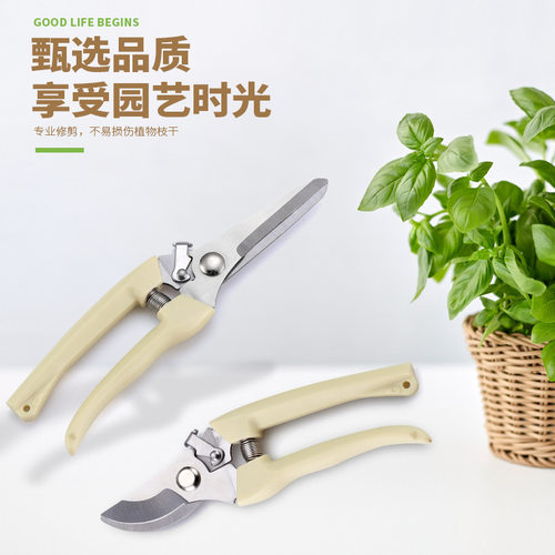 剪枝剪刀不锈钢修枝剪采摘水果花木树枝剪园林果树花卉枝园艺工具