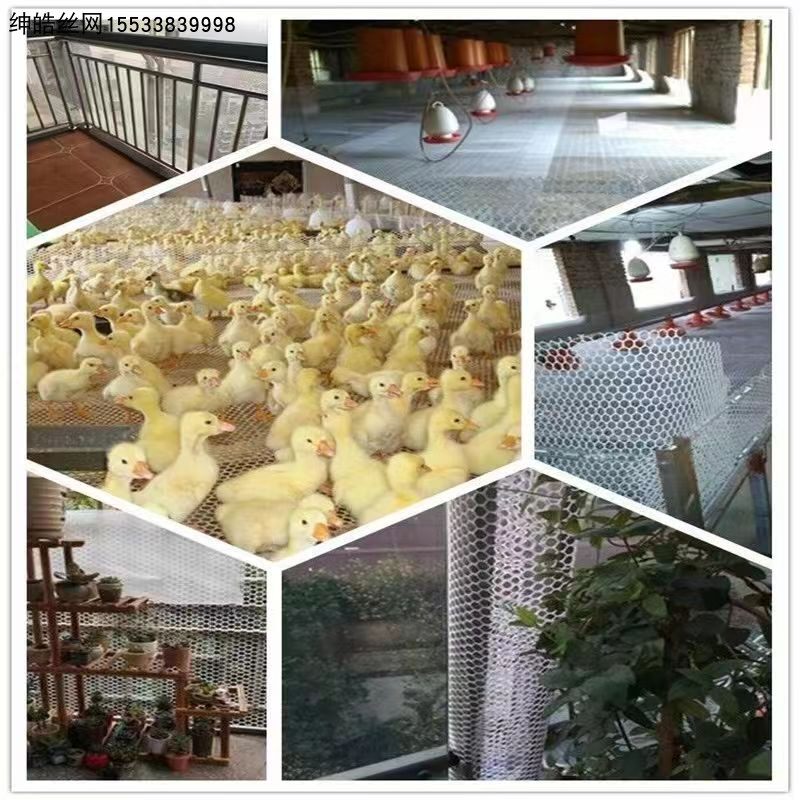 塑料平网小孔加厚养殖育雏拦鸡鸭漏粪塑胶鱼塘隔离白色防护围栏网