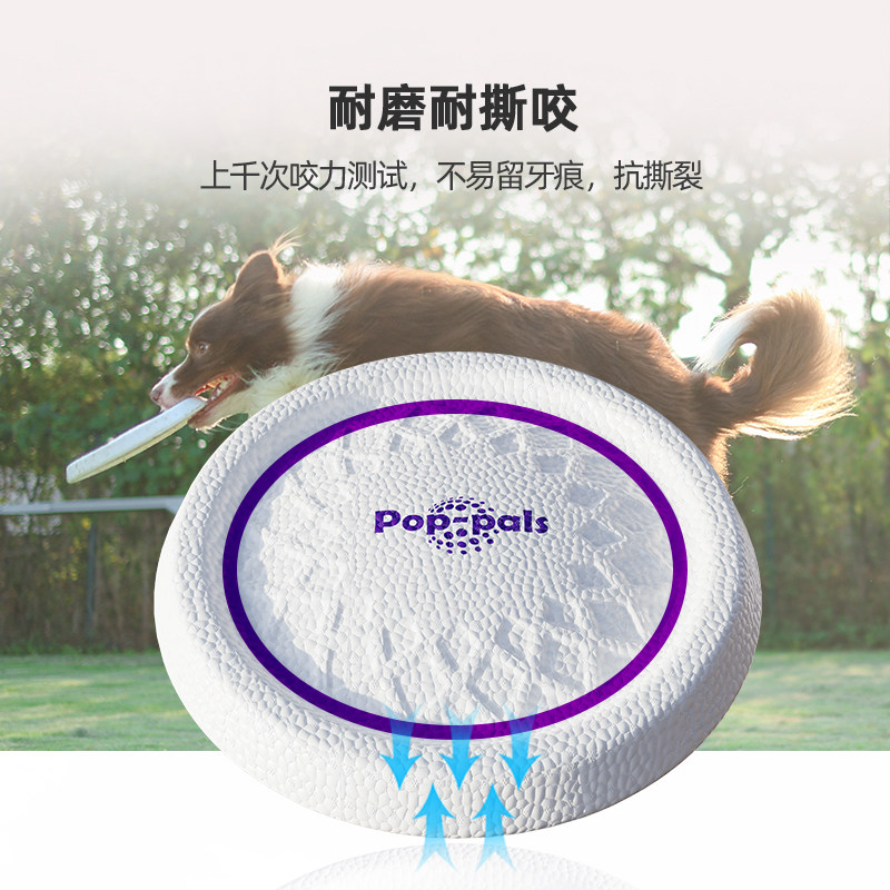 QZee贵为狗狗飞盘玩具耐咬爆米花浮力飞碟边牧游泳浮水中大犬金毛