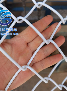 pvc球场围网包塑黑色白色勾花网护栏围栏学校操场隔离花架爬藤网