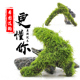 鱼缸新手植物莫斯沉木水草一体组合三角慕斯树草缸造景装 饰看图选