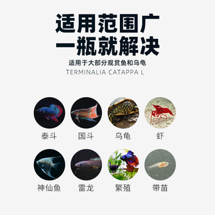 榄仁叶浓缩液斗鱼专用鱼缸天然黄水雷龙乌龟降酸正宗橄榄叶懒人水