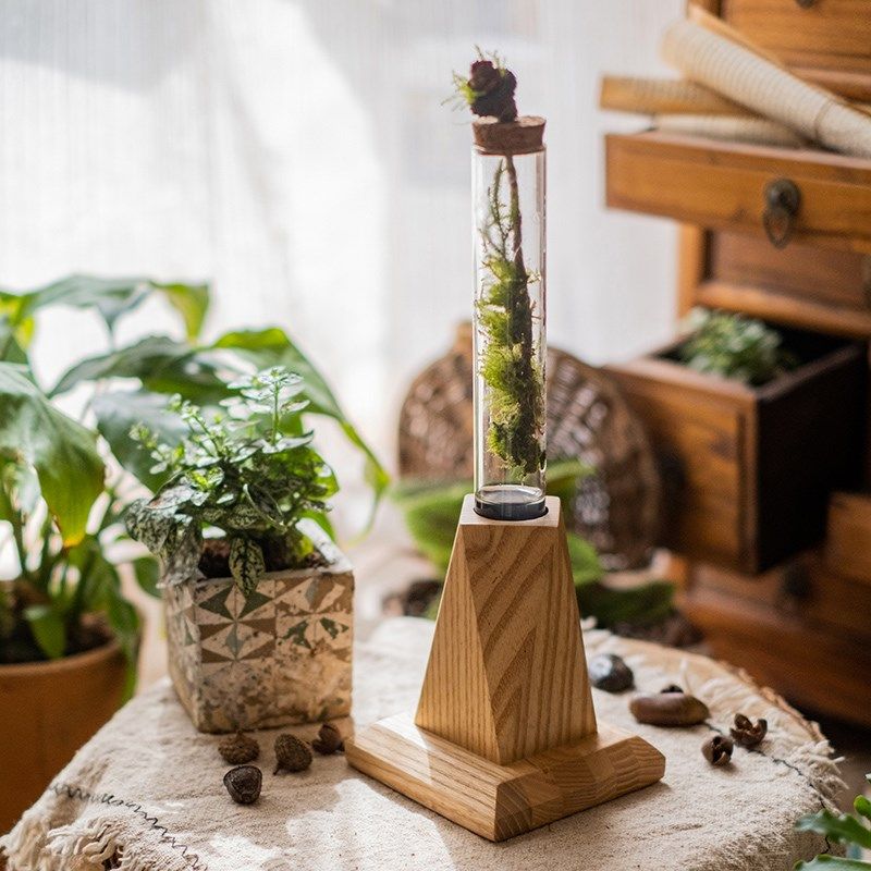 创意试管小花瓶水培玻璃器皿木质底座艺术插花高级感桌面装饰摆件