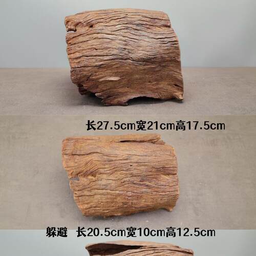 中小型紫柚木孔洞沉木异型鼠鱼三湖慈鲷躲避屋爬宠龟晒台天然树洞