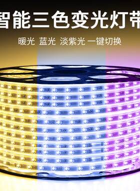 朗帝斯 led灯带条客厅暗藏软灯条220v双排三色变色防水高亮长条灯