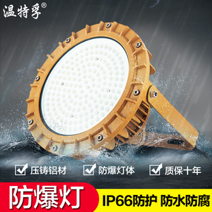 温特孚LED防爆工矿灯防腐化工厂车间照明灯加油站专用吊灯50W100W