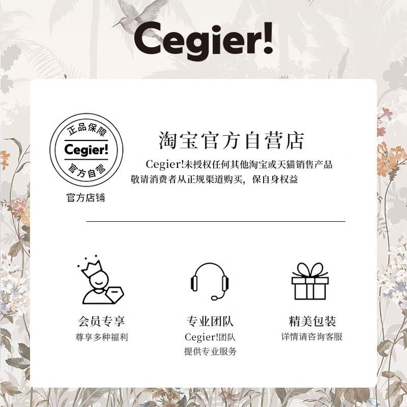 Cegier.垃圾桶家用极简无盖六边形双层直投客厅卫生间创意卧室