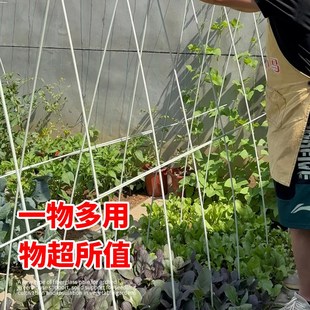 拱棚支架新型玻璃纤维杆蔬菜菜园地膜小拱棚玻璃钢支撑条农用育苗